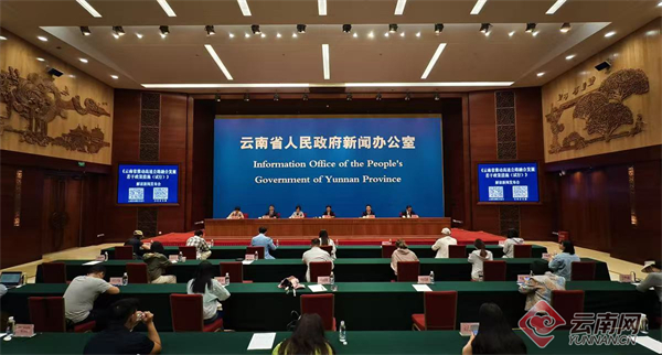 【云新发布】云南出台16条措施 以“高速 ” 解锁路域经济新模式
