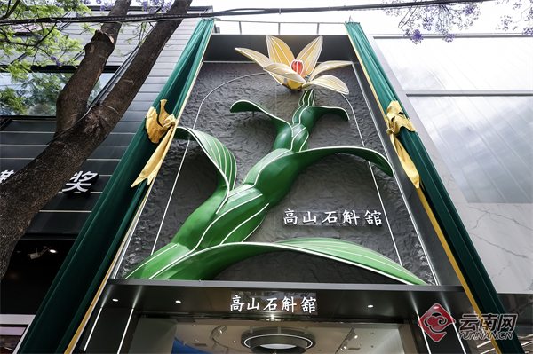 解锁石斛新范式 植物医生高山石斛馆在昆揭幕