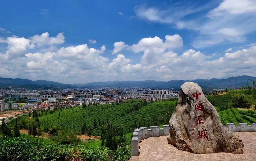 旅居云南丨普洱旅居新“式范”！快来思茅邂逅“茶咖慢生活”