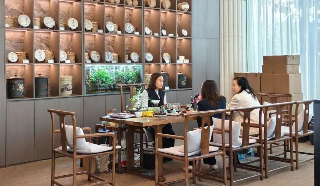 旅居云南丨普洱旅居新“式范”！快来思茅邂逅“茶咖慢生活”