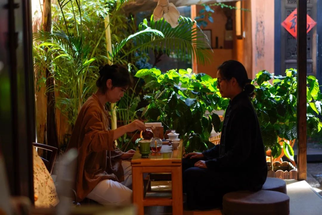 旅居云南丨普洱旅居新“式范”！快来思茅邂逅“茶咖慢生活”