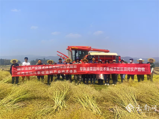 科技支撑单产提升 云南油菜高产频出