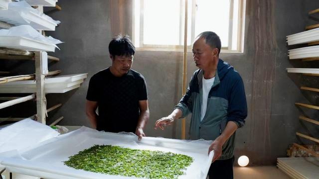 陆良：夯实蚕桑产业基础 拓宽乡村振兴“丝路”