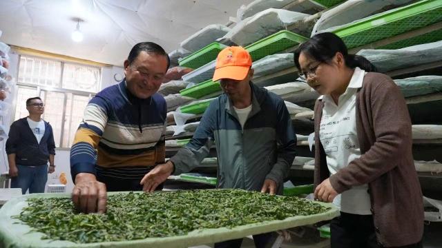 陆良：夯实蚕桑产业基础 拓宽乡村振兴“丝路”