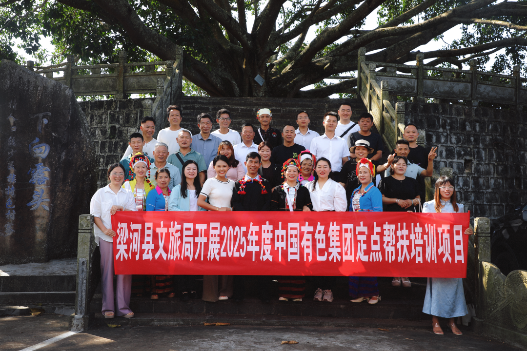 传承千年酸茶技艺 赋能梁河茶业发展