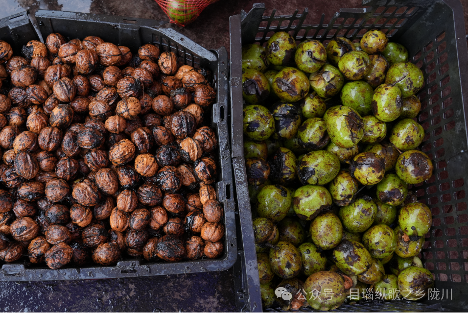云南陇川：核桃宴开启舌尖上的秋日盛宴