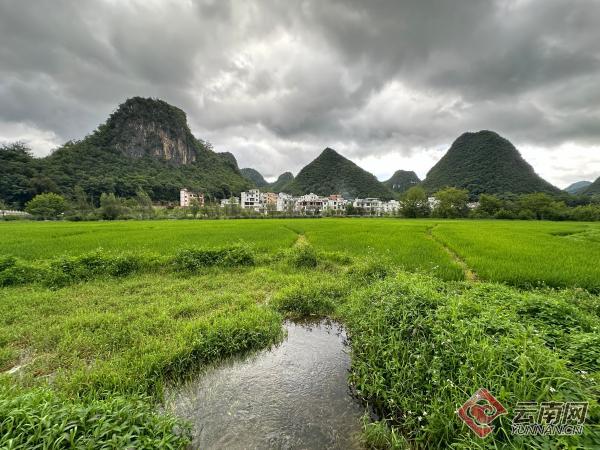 云南发布第三批自然资源领域生态产品价值实现典型案例