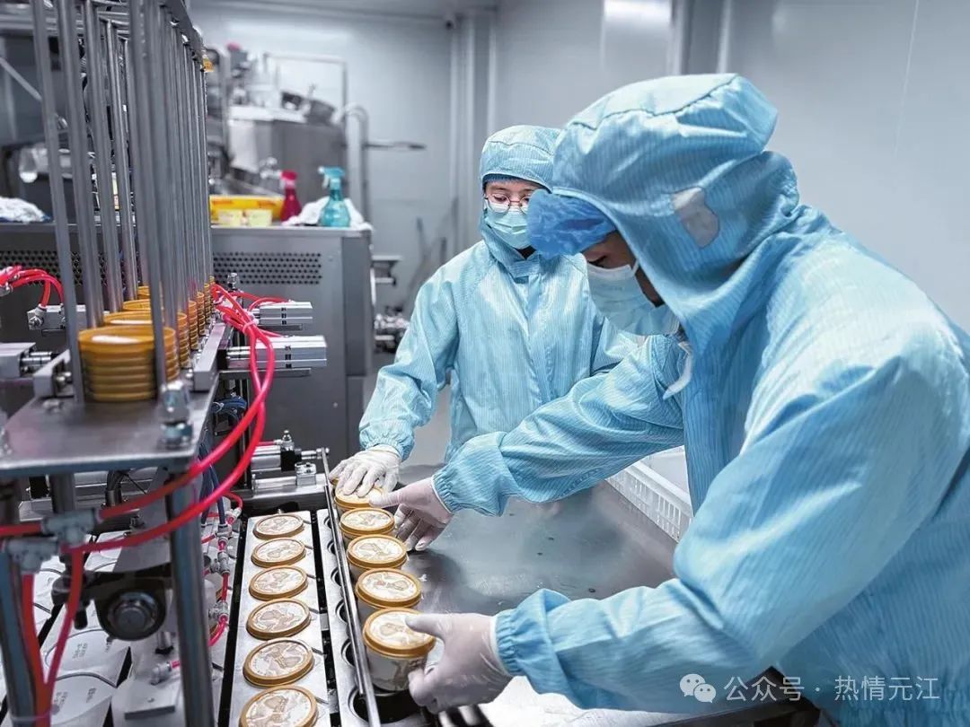 元江“产学研用”全链条推进冰淇淋小镇建设