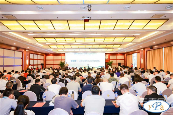 专家企业齐聚 共话产业高质量发展！云南省塑料行业技术交流会在昆明召开