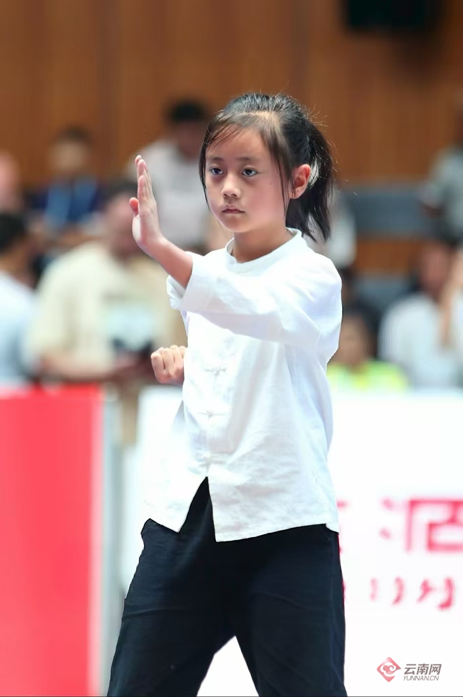 云南拳手出征2025年国际咏春拳大赛 斩获49枚冠军奖牌