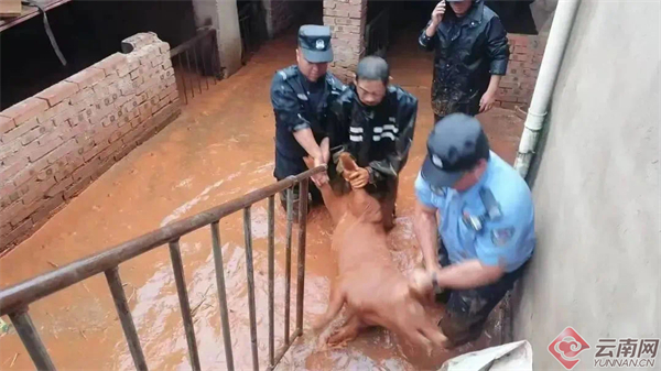暴雨倾城夜昆明公安2270名警力彻夜守护筑平安