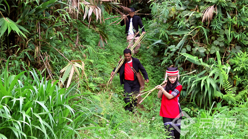 云南金平拉祜竹编：从生存手艺到家门口经济的千年蜕变