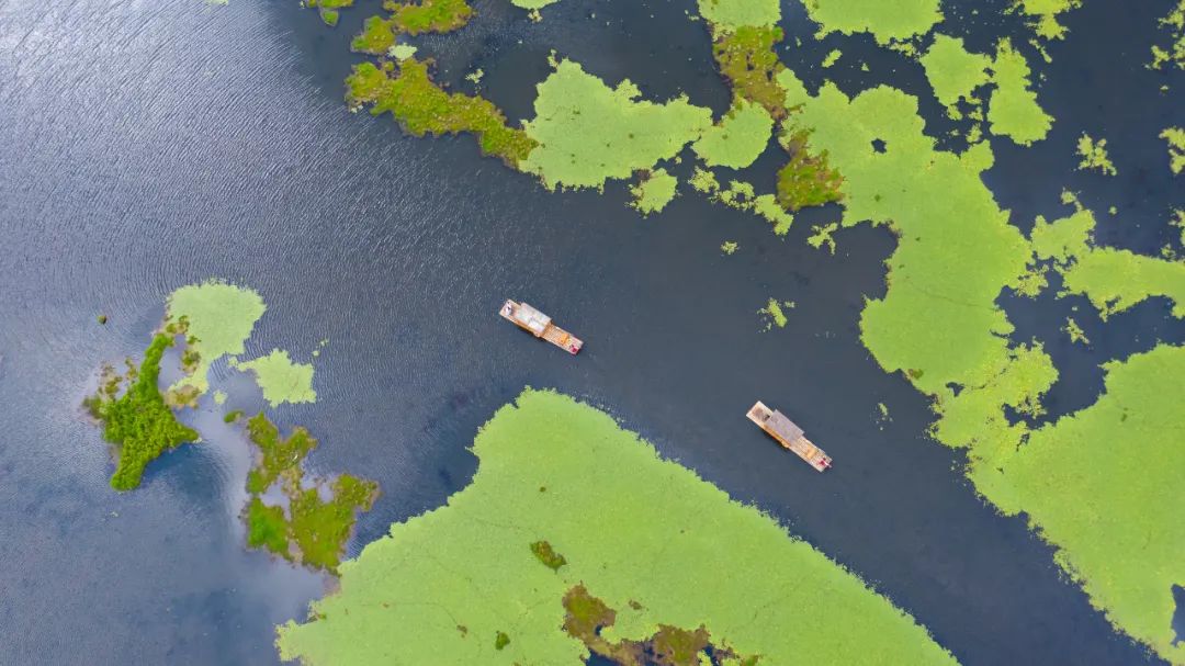 19℃的夏天！腾冲把清凉藏进了这些秘境里