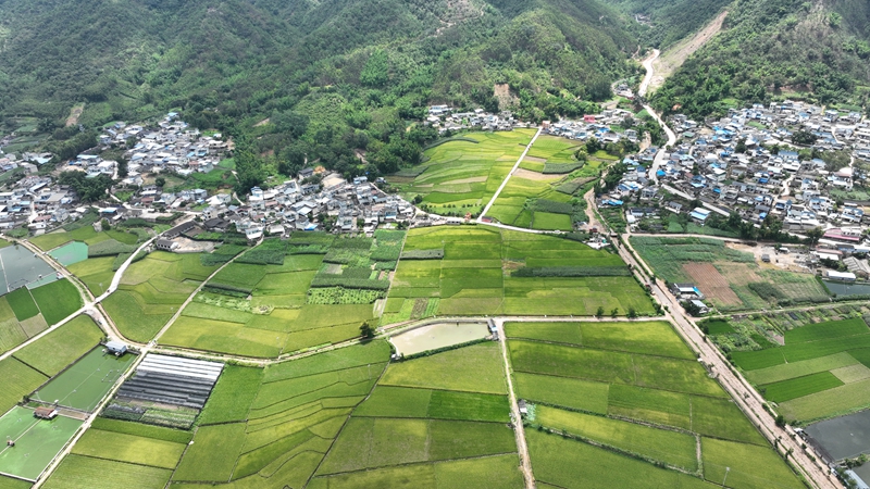 云南双江：党建引领谱新篇 “荒田”成了好资源