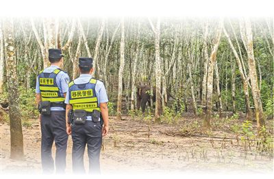 “人和象平安是我们最大的心愿”