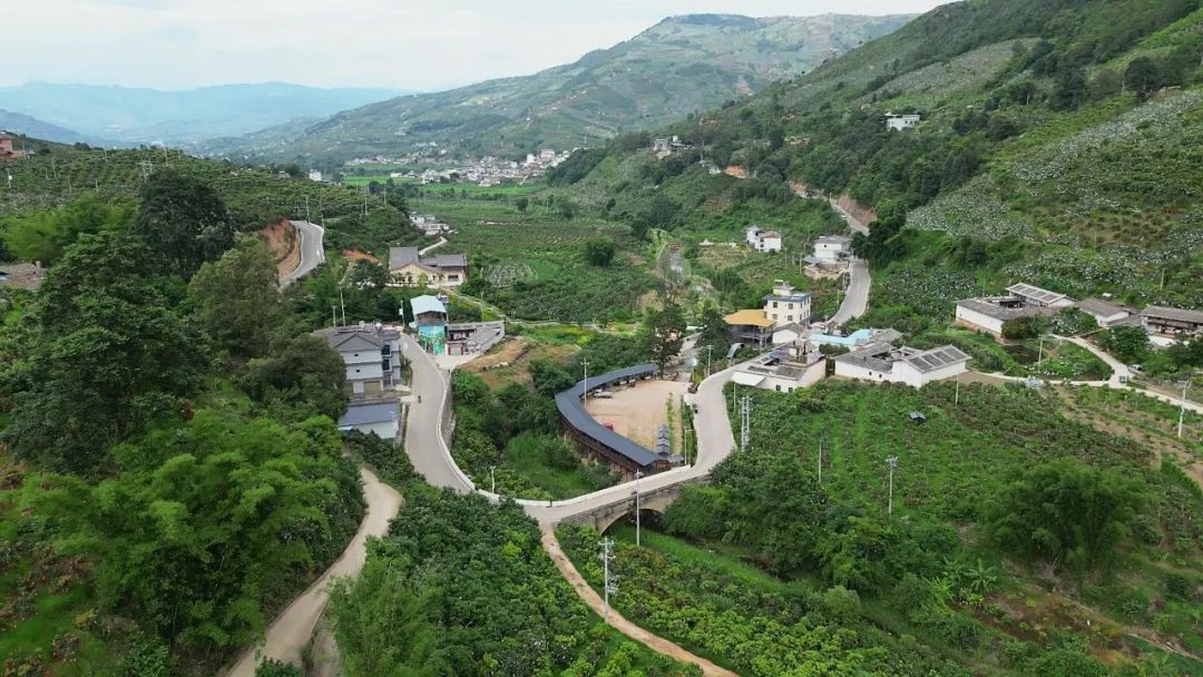 华坪：果园变景区 芒果香里蹚新路