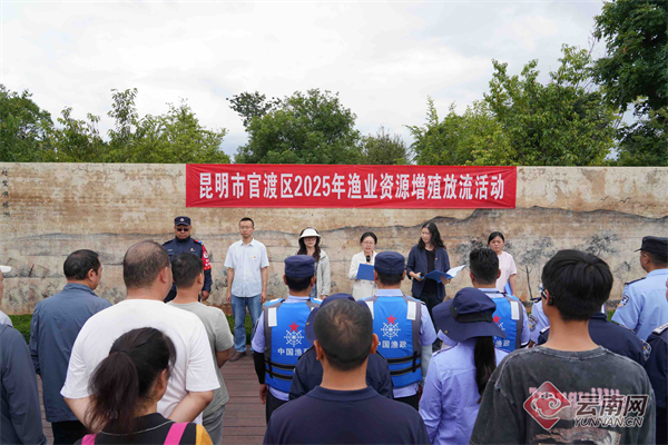 22万尾滇池土著鱼苗“回家” 昆明市官渡区开展增殖放流助力水域生态修复